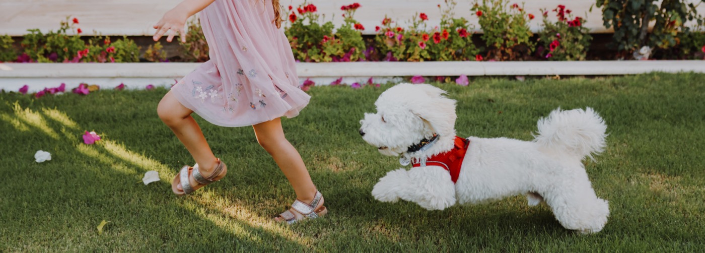 DogWatch of Mid-Florida, Ocala, Florida | Outdoor Hidden Dog Fences Slider Image